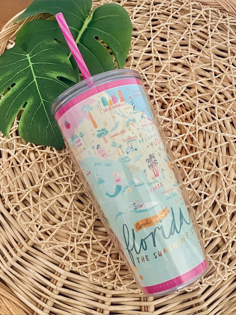 Spartina 449 Florida Georgia map 24 oz. Insulated tumbler NWT